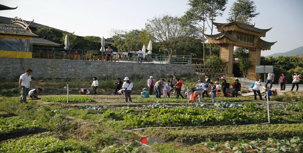 春暖花開，我們?nèi)ゴ河危?></div>
            </a></li>
                    <li id=