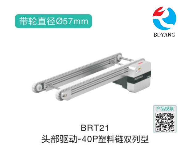 雙列型頭部驅(qū)動(dòng)皮帶鏈板式輸送機(jī)BRT21